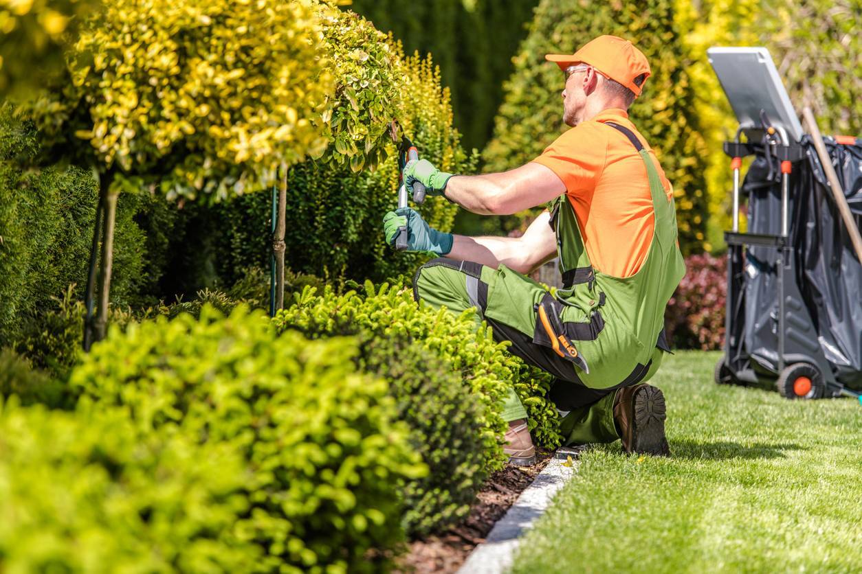 Trouver un artisan jardinier professionnel