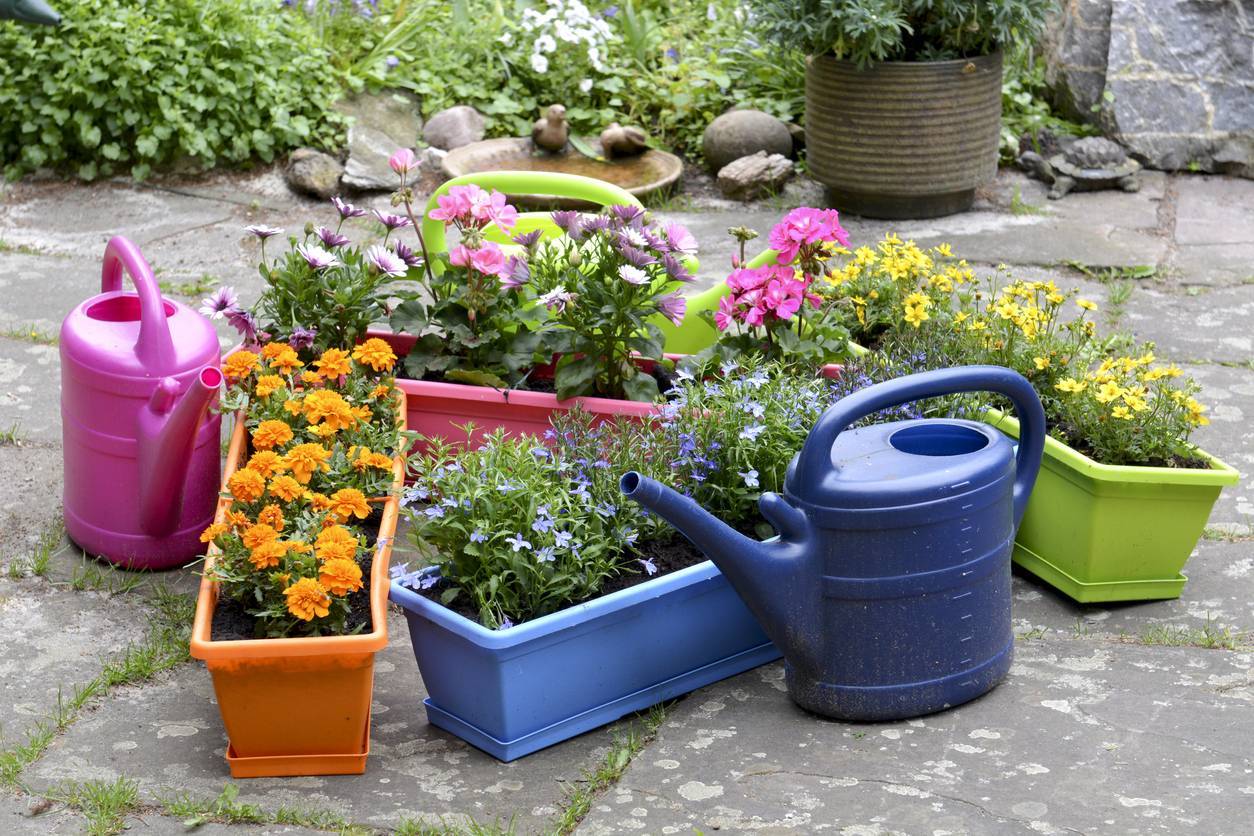 pots de fleurs plastique, jardinage