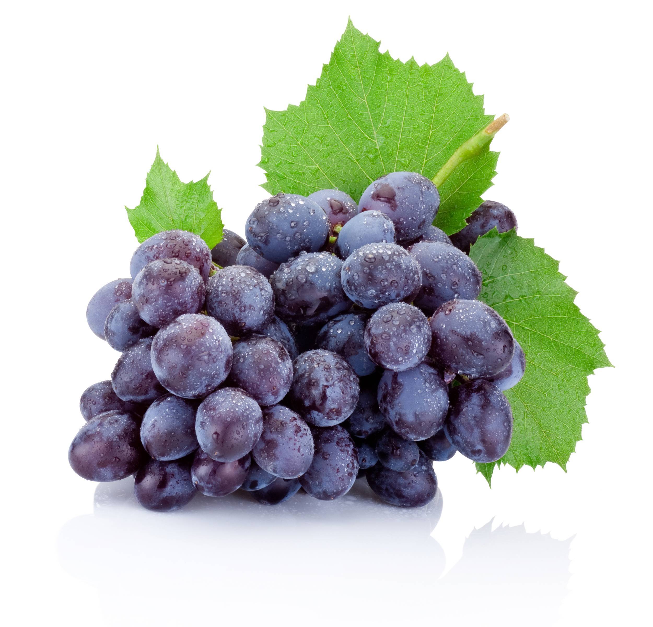 le raisin muscat bleu